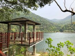 -广州市石门国家森林公园
