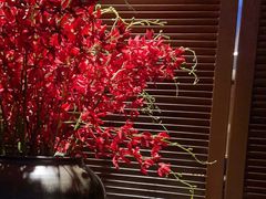 -北方家宴(番禺永旺店)