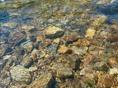 -北仑森林植物园