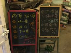 -猫色咖啡·猫咖