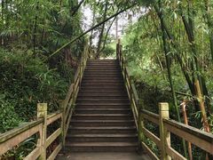 -鼓楼夜市