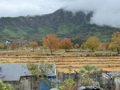 -塔川景区