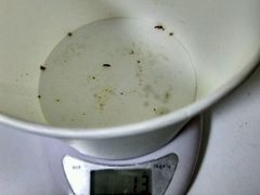 -夏氏怪老头·扬州狮子头(天山西路店)