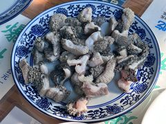 肚领儿-东兴顺爆肚张