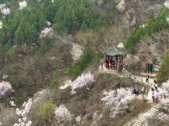 -北京凤凰岭