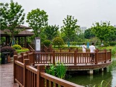 -金银湖国家城市湿地公园