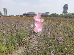 -长春北湖公园