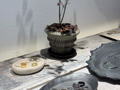 -MEDISN·药厂