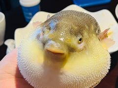 -永安鱼庄·镇江菜(东吴路店)