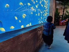 -南京金牛湖风景区