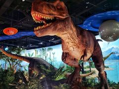 -陕西自然博物馆