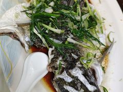 清蒸泉水鲩鱼-成惠食府(赤岗店)