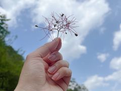 -北京西山国家森林公园