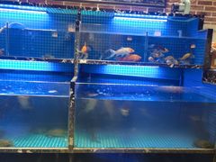 -姜君·千岛湖鱼头馆(浦东大道店)