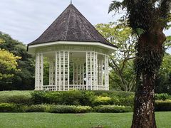 -新加坡植物园