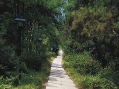 -青龙山国家森林公园