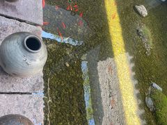 -几荷·恰似故人来(秀水广场店)