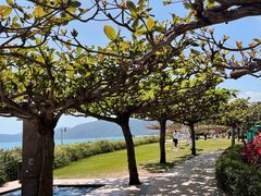 -三亚亚龙湾天域度假酒店