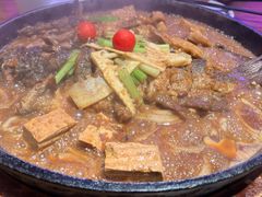 -老板恋上鱼(恒隆广场店)