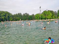 -柳浪游泳场