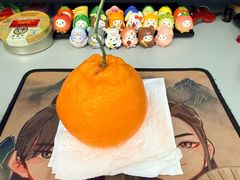 -舒蔡记生煎菜饭(云南中路店)