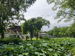 -惠州西湖风景名胜区-丰渚园