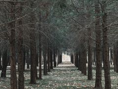 -东升八家郊野公园