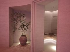 -舒小悦·舒养SPA·古法推拿(光环中心店)