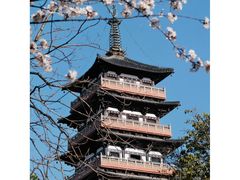 -蜀冈西峰生态公园