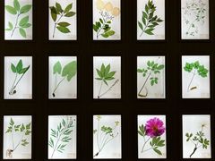 -南京中医药大学(仙林校区)