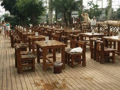 android_upload_pic-龙达温泉生态城