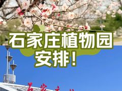 -石家庄市植物园