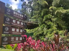 -野象谷景区