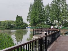 -黄兴公园