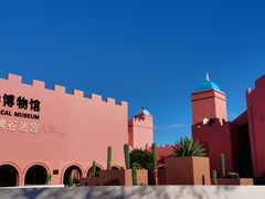 -漳州滨海火山岛自然生态风景区