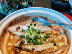 -金海华·悦食东方(苏州中心商场店)