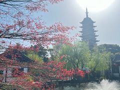 -常熟方塔园