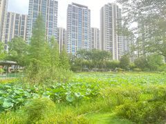 -Xcape异时刻密室逃脱魔法互动(瑞虹天地太阳宫店)