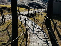 -玉苍山国家森林公园