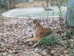-成都动物园