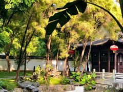 -深圳国际园林花卉博览园