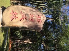 iphone_upload_pic-瑞丽独树成林风景区