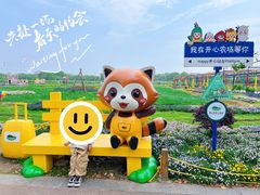 -苏州太湖西山岛开心农场