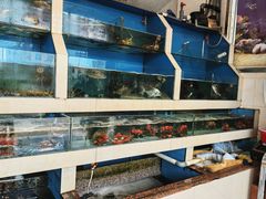 -原龙海鲜大排档(美食地标店)