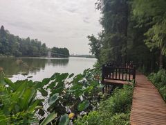 -东湖落雁景区