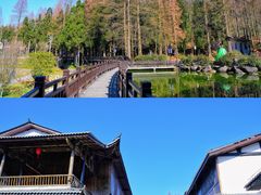 -恩施坪坝营国家森林公园景区
