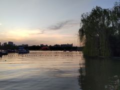 -洛阳市隋唐城遗址植物园