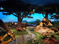 -国家自然博物馆