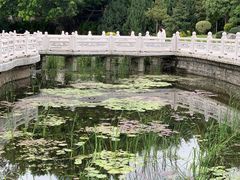 -南普陀寺