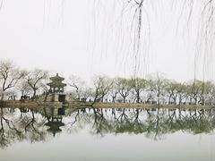 -颐和园